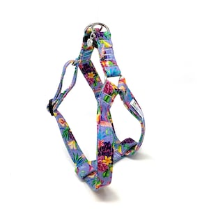 Hummingbird, Tropical Bird and Flowers Adjustable Dog Harness four sizes available