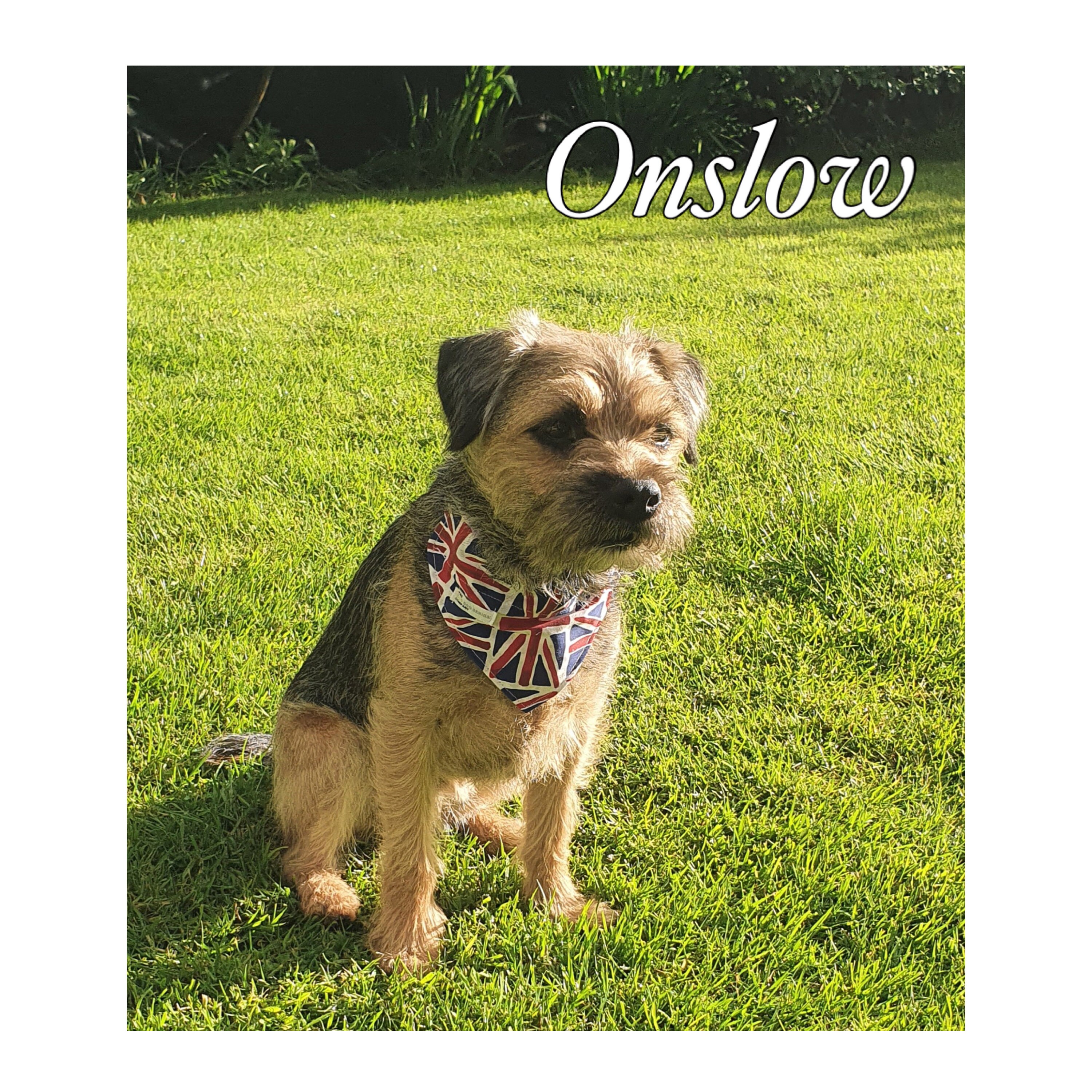 Union Jack Dog Bandana British Flag UK Great Britain Slip Etsy