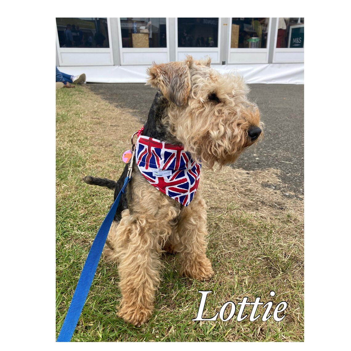 Union Jack Dog Bandana British Flag UK Great Britain Slip Etsy