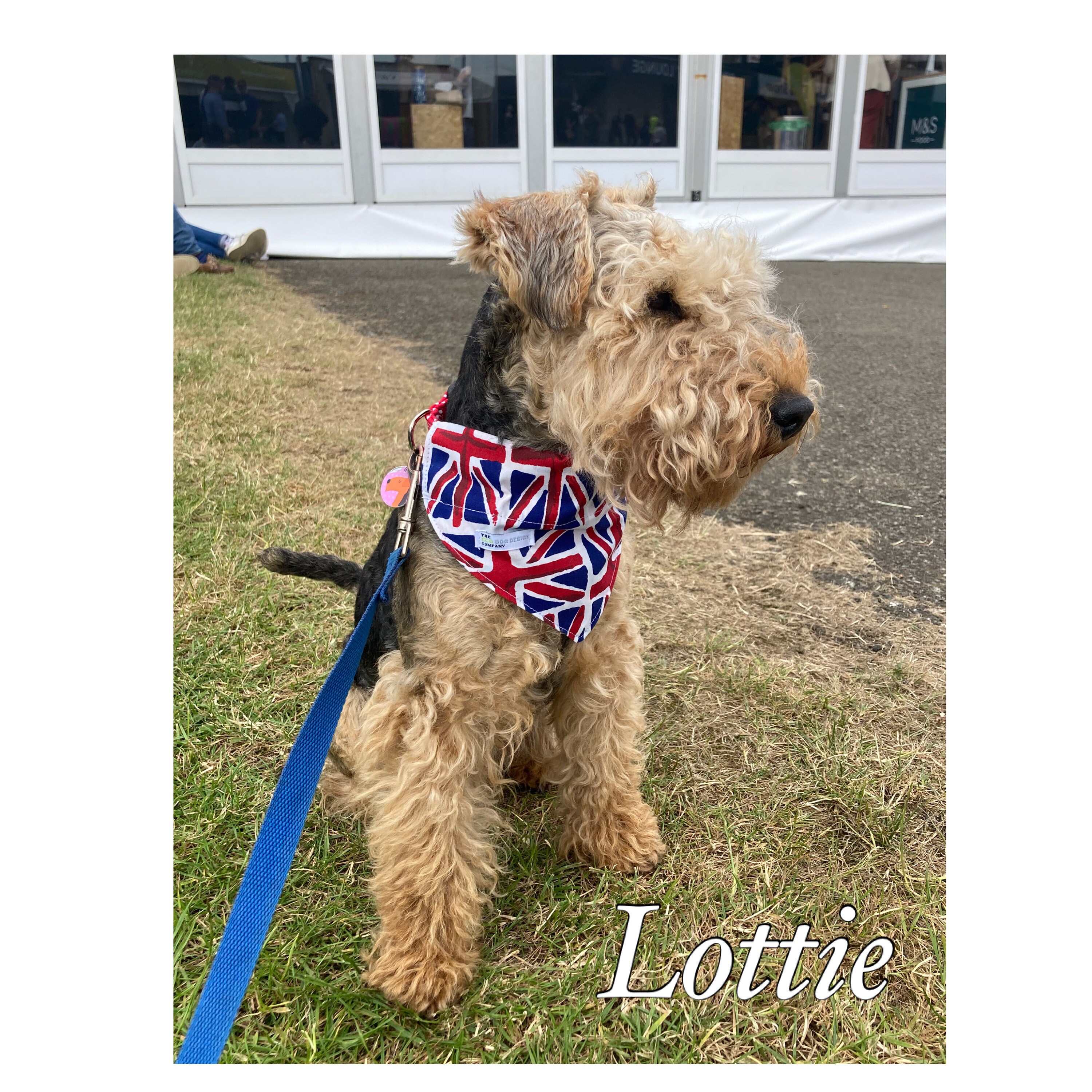 Union Jack Dog Bandana British Flag UK Great Britain Slip Etsy
