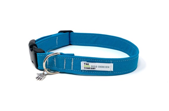 Electric Blue Water Repellent Adjustable Dog Collar Etsy
