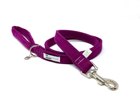 Dog leads online cheap