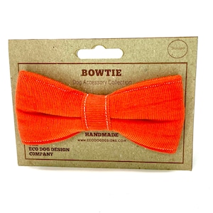 Dog Bow Tie, Bright Orange Corduroy Dickie Bow, Dog Accessory, Dog lover present