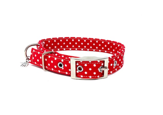 Spotty dog collar sales