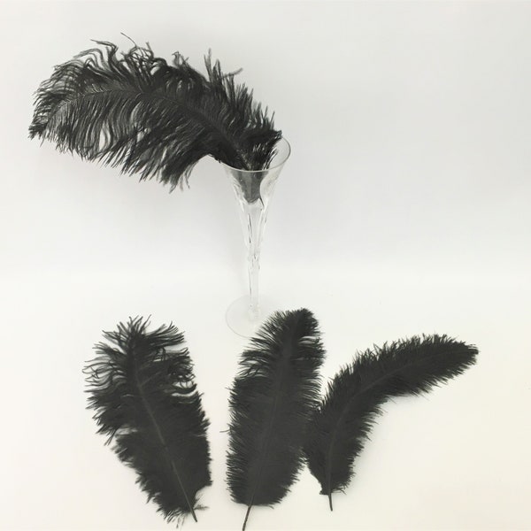 Medium Black Ostrich Feathers