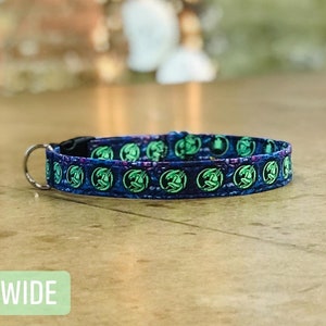 May include: A blue dog collar, 1 inch wide, featuring a repeating pattern of green dragon designs. The collar has a metal D-ring and a black plastic buckle.