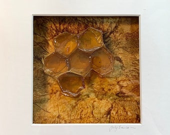 Honeycombette - Original artwork. Paper & solidified varnish sculpture.