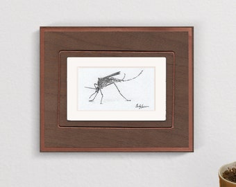 Mosquito - Original pencil drawing. Black & white graphite illustration.