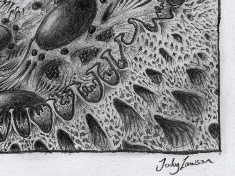 Spider Cavern Original Pencil Drawing. Black & White Graphite ...