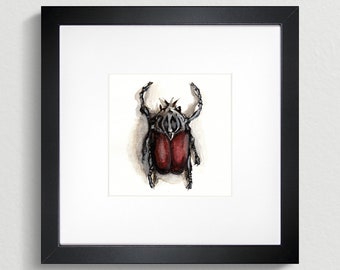 Goliath Beetle - Original artwork. Watercolour illustration.