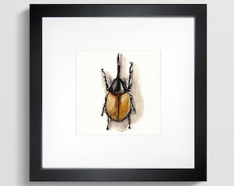 Horned Hercules Beetle print - Archival giclee print of a Watercolour illustration.