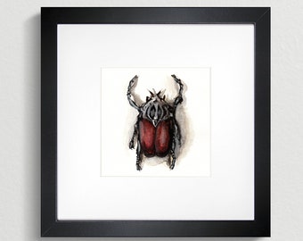 Goliath Beetle print - Archival giclee print of a Watercolour illustration.