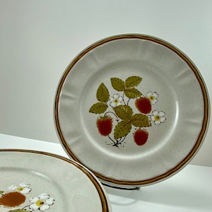 4 Strawberries and Cream Dinner Plates - Vintage - Japan  - Stoneware - Strawberries and Cream - Red White Flowers Sheffield
