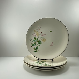 4 Johnson Bros Fine China - Gebloemde bladeren en bierborden - jaren 1950 - vintage diner halverwege de eeuw - groen, geel varenroze - moeilijk te vinden