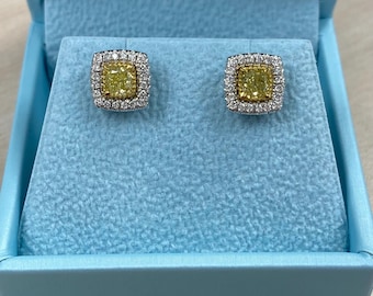 1.50 CT Fancy Yellow Cushion Diamond Stud Earrings, 14k White Gold Halo