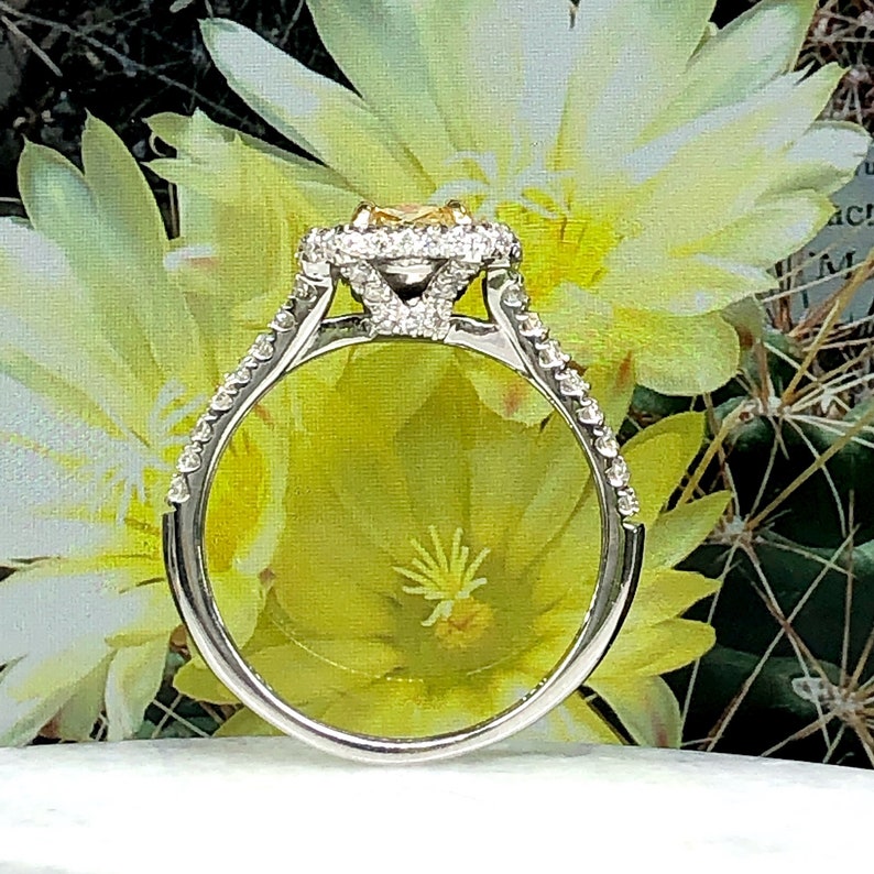 May include: A white gold engagement ring with a yellow diamond center stone and a halo of smaller diamonds. The ring has a pave setting and a delicate band.