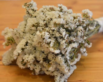 REAL DRIED White LIMONIUM statice bouquet Wedding bouquet dried wedding flower bouquet, a bunch of dried real flower, flower arrangement