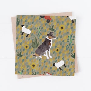 Carte de voeux tricolore Border Collie