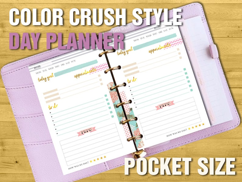 May include: A pink leather-bound pocket-sized day planner with a colorful design. The planner has sections for "today's goal", "appointments", and "to do".