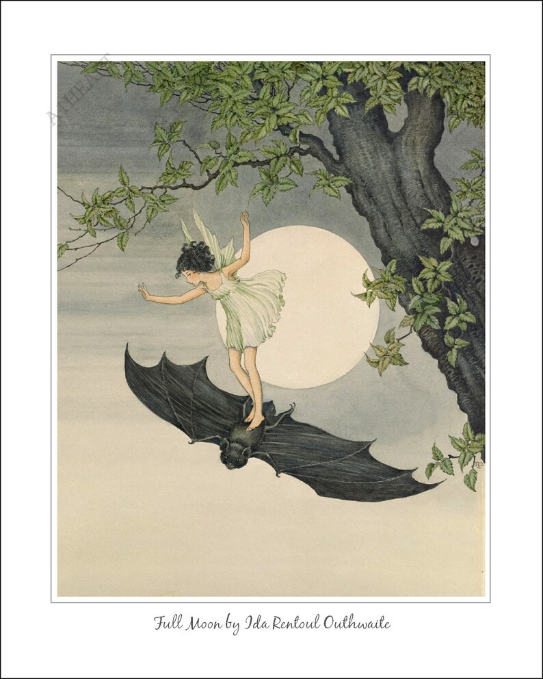 Art Print Full Moon by Ida Rentoul Outhwaite. Winged Fairy flying on a Bat. Supernatural mysticism Occult Magic Pagan Spellcraft 349 image 3