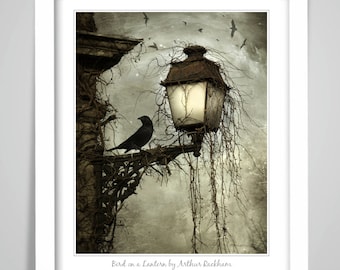 Arthur Rackham Bird and Lantern Art Print, Dark Occult Decor
