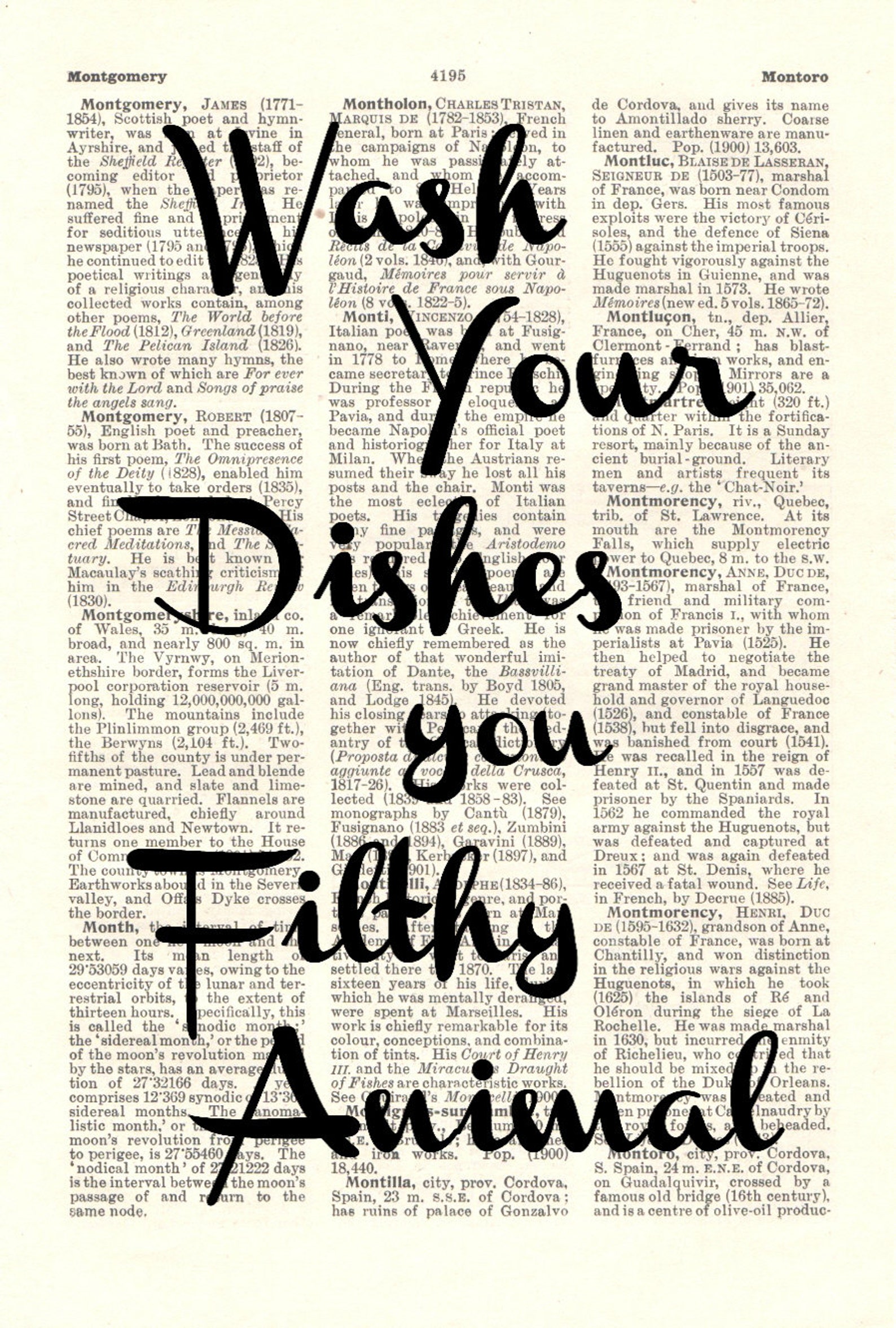 Dictionary Art Print Wash Your Dishes You Filthy Animal. Funny Etsy UK