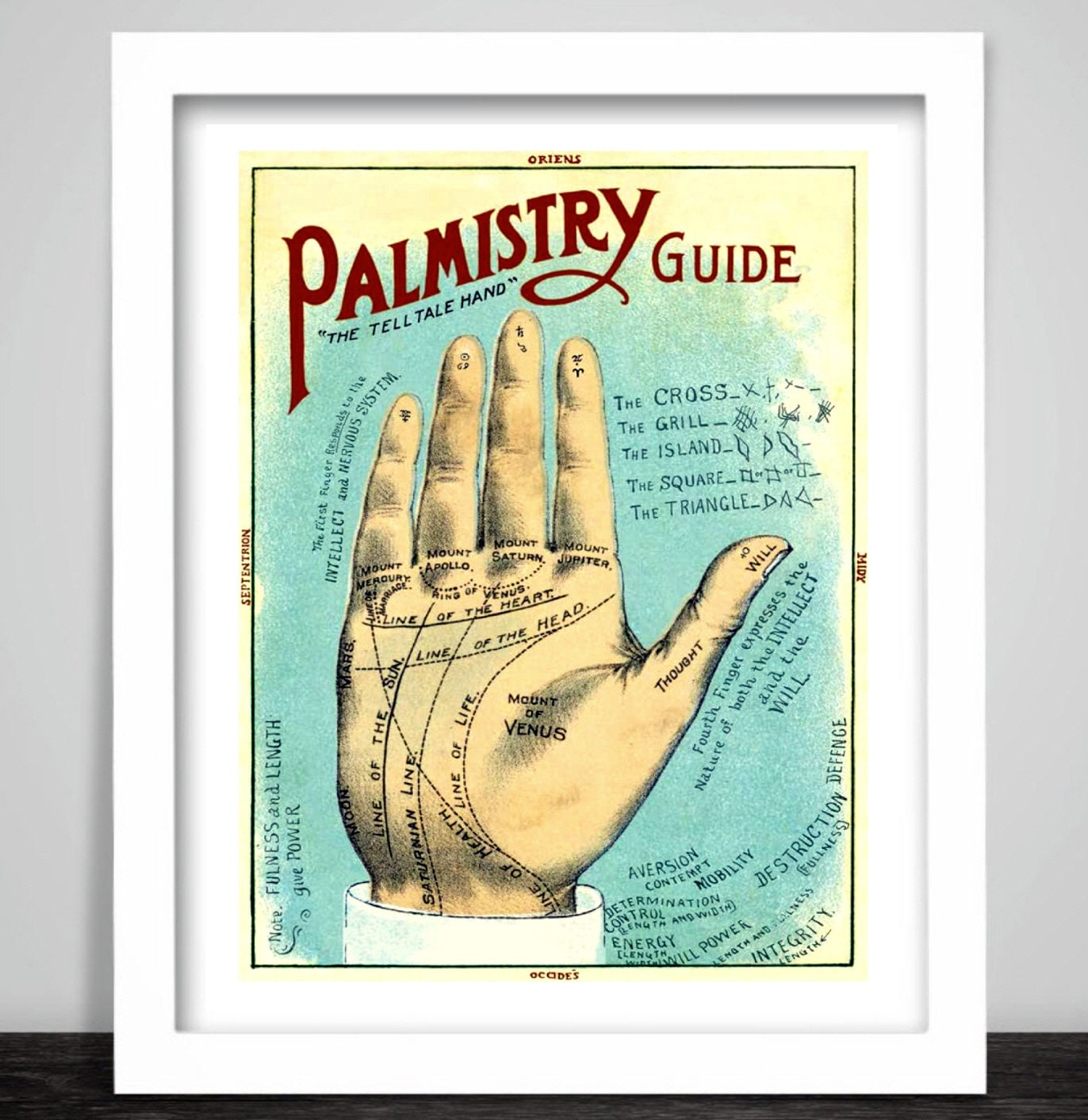 Palmistry Poster Print. Palm Reading Chiromancy Fortune Telling Divination.  Witchcraft Occult Magic Superstition See the Future .299 - Etsy