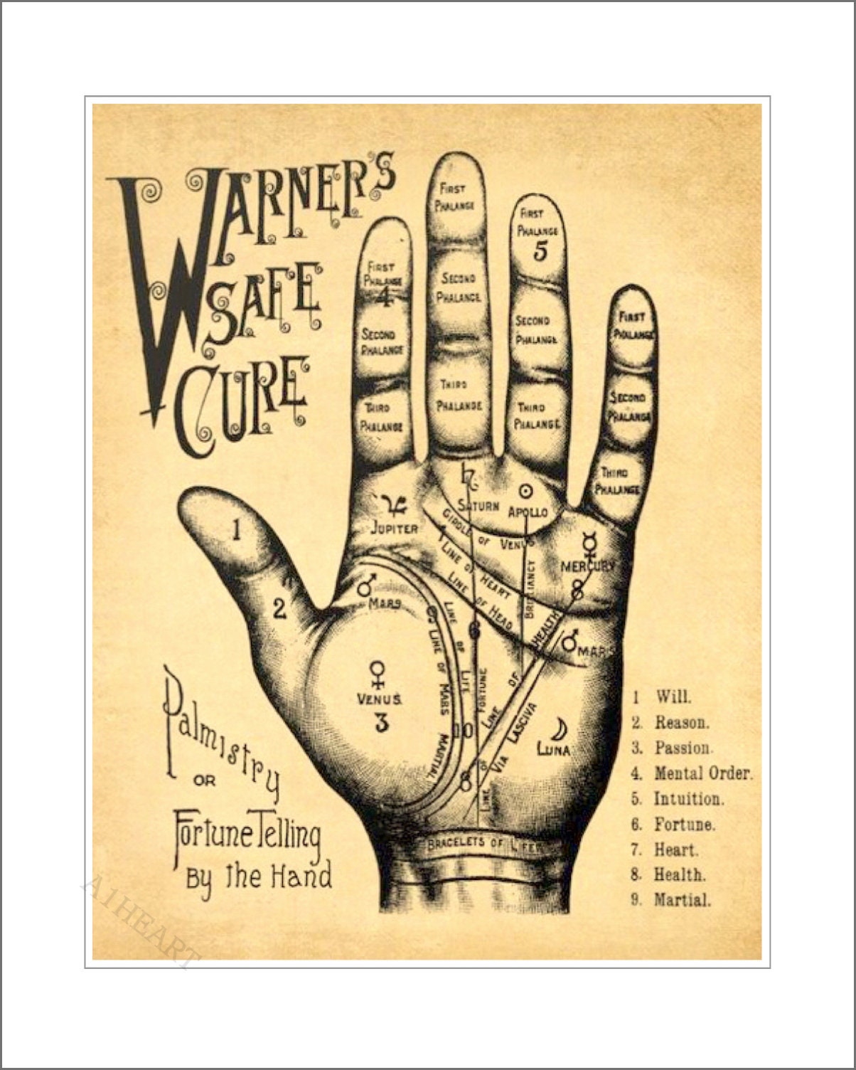 Palmistry Vintage Poster Print. Palm Reading Warners Fortune Telling  Divination. Witchcraft Occult Magic Superstition See the Future 308 - Etsy  Sweden