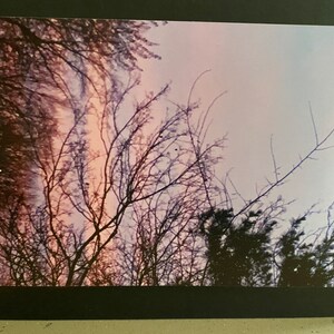 Wenskaarten uit de Sunset-serie: oranje-paars
