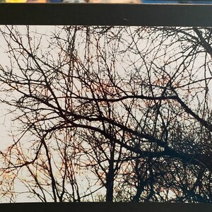 Biglietti d'auguri serie Sunset: tramonto invernale bianco