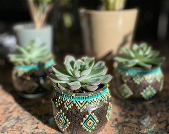 Real Succulent Plant Pots, Hand Painted, one of a kind
