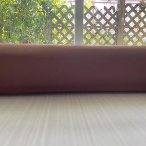 May include: A close-up shot of a rolled-up, reddish-brown object, possibly fabric or paper, against a blurred background of a wooden lattice fence and green foliage. The object is positioned horizontally.