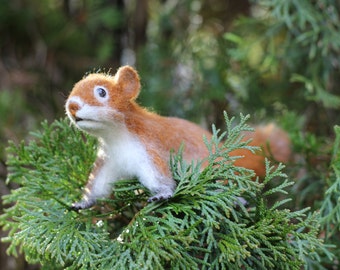 Hazel the little Douglas squirrel. Needle felted animal. Wool felted soft sculpture. American red squirrel