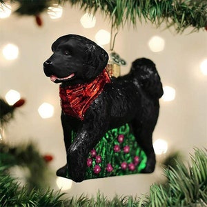 Old World Christmas Black Doodle Dog Glass Christmas Ornament 12560