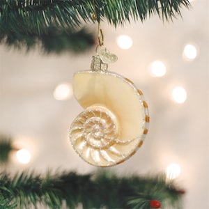 Old World Christmas Nautilus Sea Shell Nautical Glass Christmas Ornament 12150