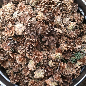 May include: A large metal bowl filled with a collection of brown pine cones. The cones are various sizes and shapes, and some have a white powdery coating.