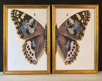 Vintage Butterfly Duo | Gold Framed Prints, Each 12.5 x 18"