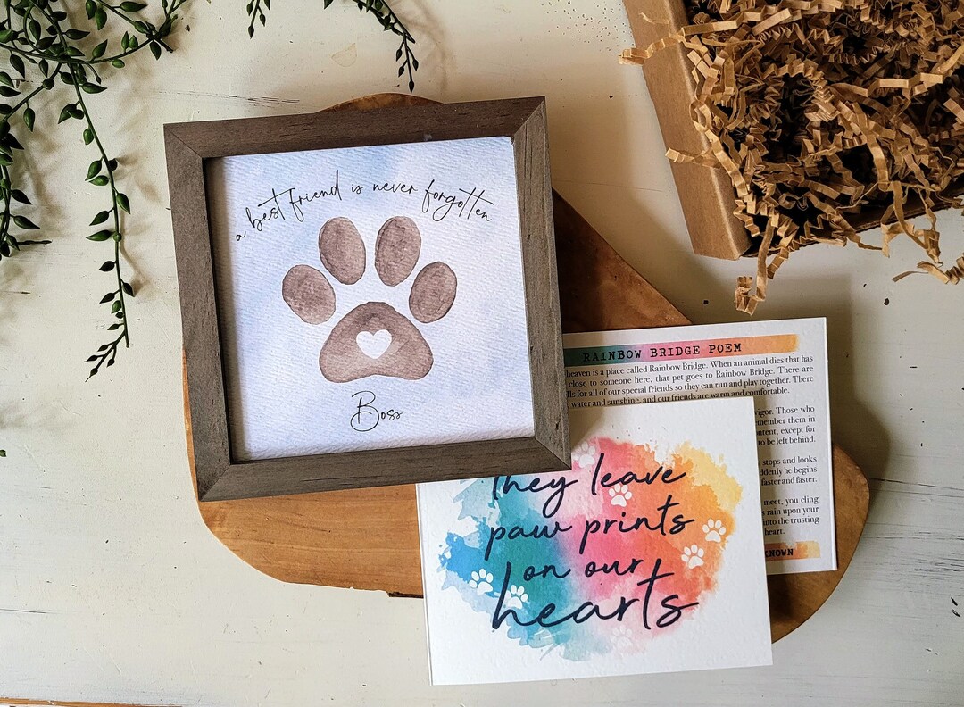 Paw Print Stamp - 12 Piece Set Self Ink Colorful Mini Stamp