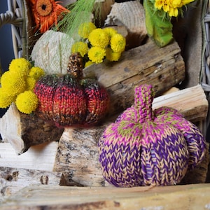 Lil Chunky Pumpkin Knitting Pattern • Bulky Yarn Pumpkin PDF • Fall Crochet Decor • Easy Halloween Pattern • Instant Download • Printed Copy