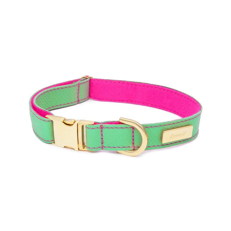 Dog Collar Soft Leather dog collar Mint green Leather and Etsy