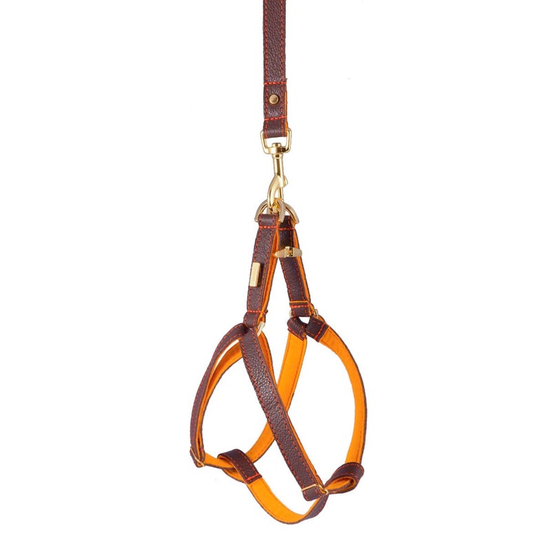 Dog Harness Leather Dog Harness Adjustable Leather Dog Etsy UK