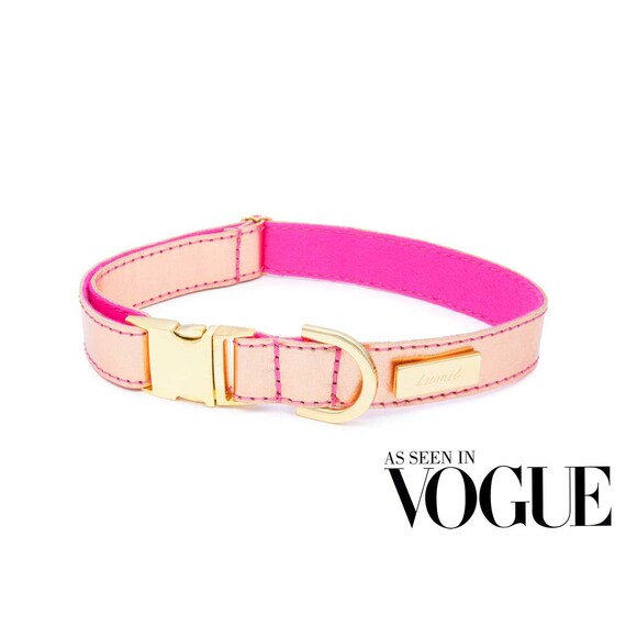 gold leather dog collar