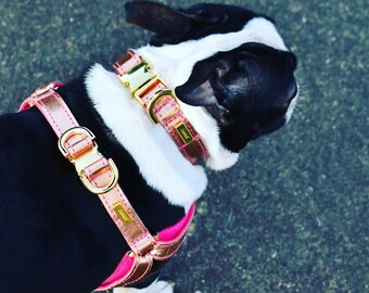 lurril dog collars