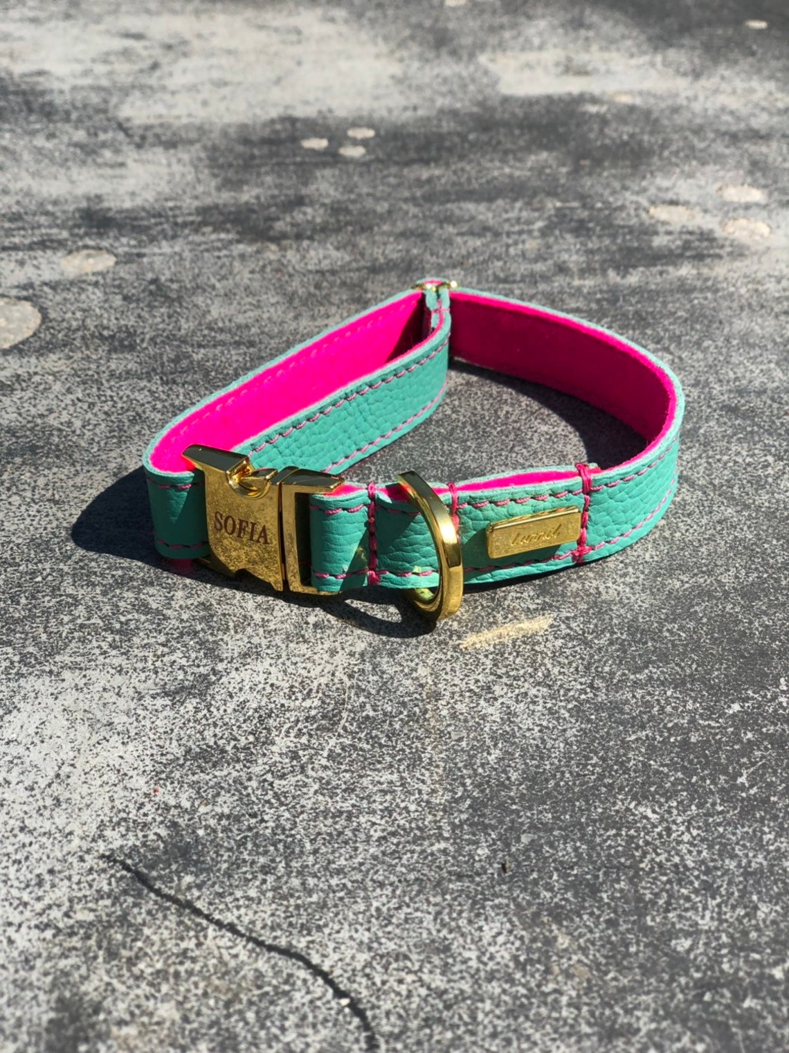 Dog Collar Soft Leather dog collar Mint green Leather and Etsy