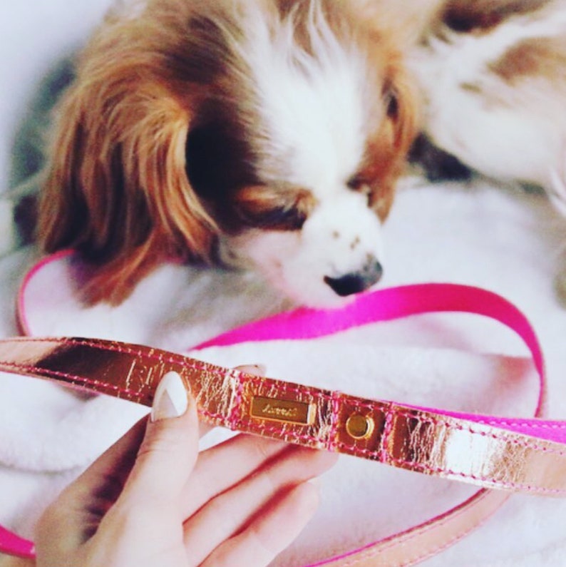 Rose Gold Dog Leash Dog Lead Leather Dog Lead Leather Dog Etsy UK