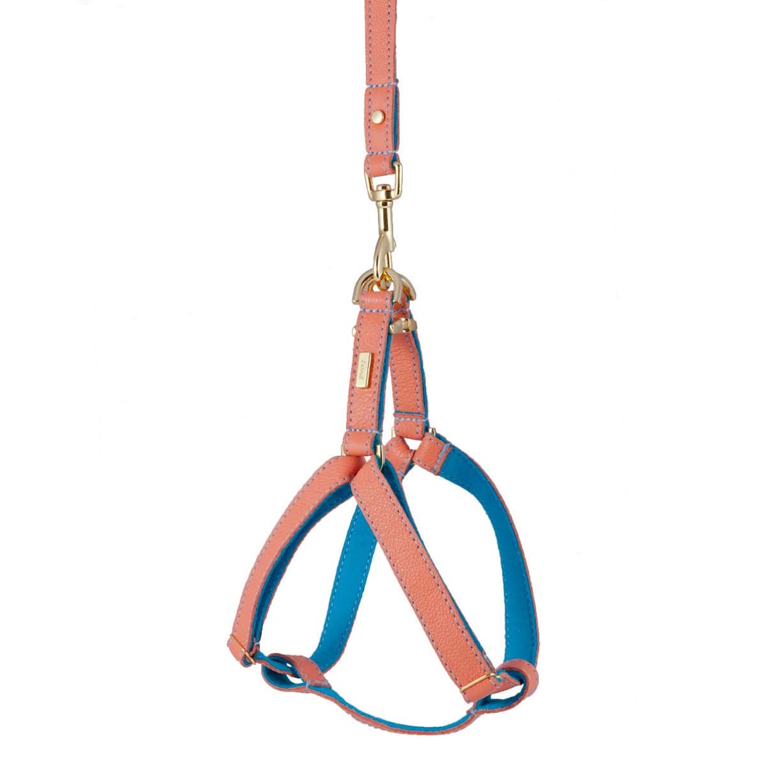 Dog Harness, Leather Dog Harness, Adjustable Leather Dog Harness