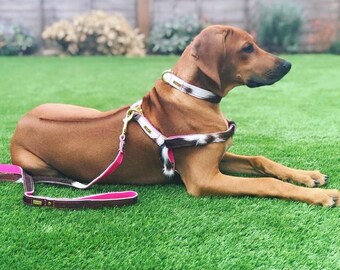 Dog Harness, Leather Dog Harness, Adjustable leather dog harness, Hair on Cow Dog Harness Personalised Leather Dog Harness