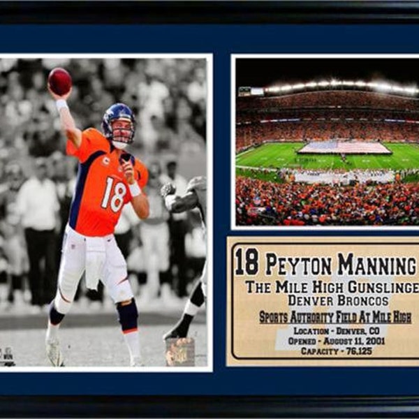 12x18 Photo Stat Frame - Peyton Manning Denver Broncos