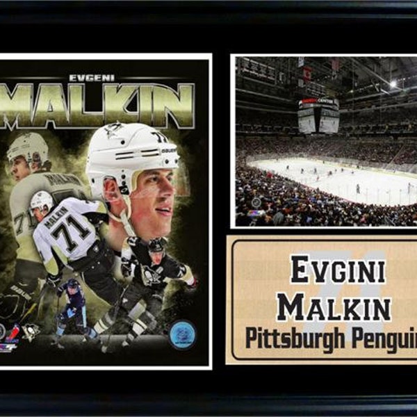 12x18 Photo Stat Frame - Evgeni Malkin Pittsburgh Penguins