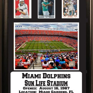 12 x 18 drei Karte Rahmen - Miami Dolphins